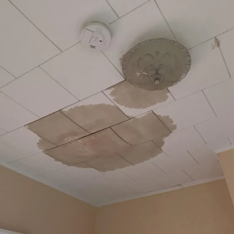 Ceiling Water Damage Repair in Saratoga Springs, UT