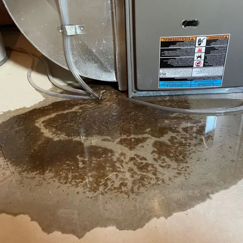 Pipe Burst and Leak Restoration in Saratoga Springs, UT